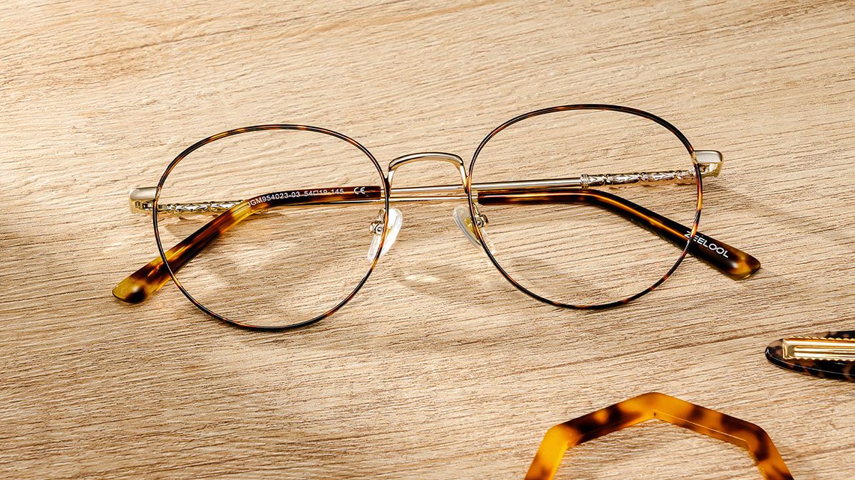 Ian Round Tortoise Glasses