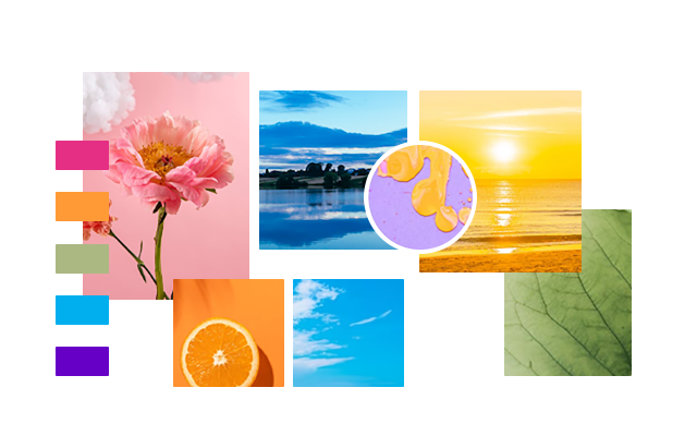 Zeelool optical eyeglasses online store11