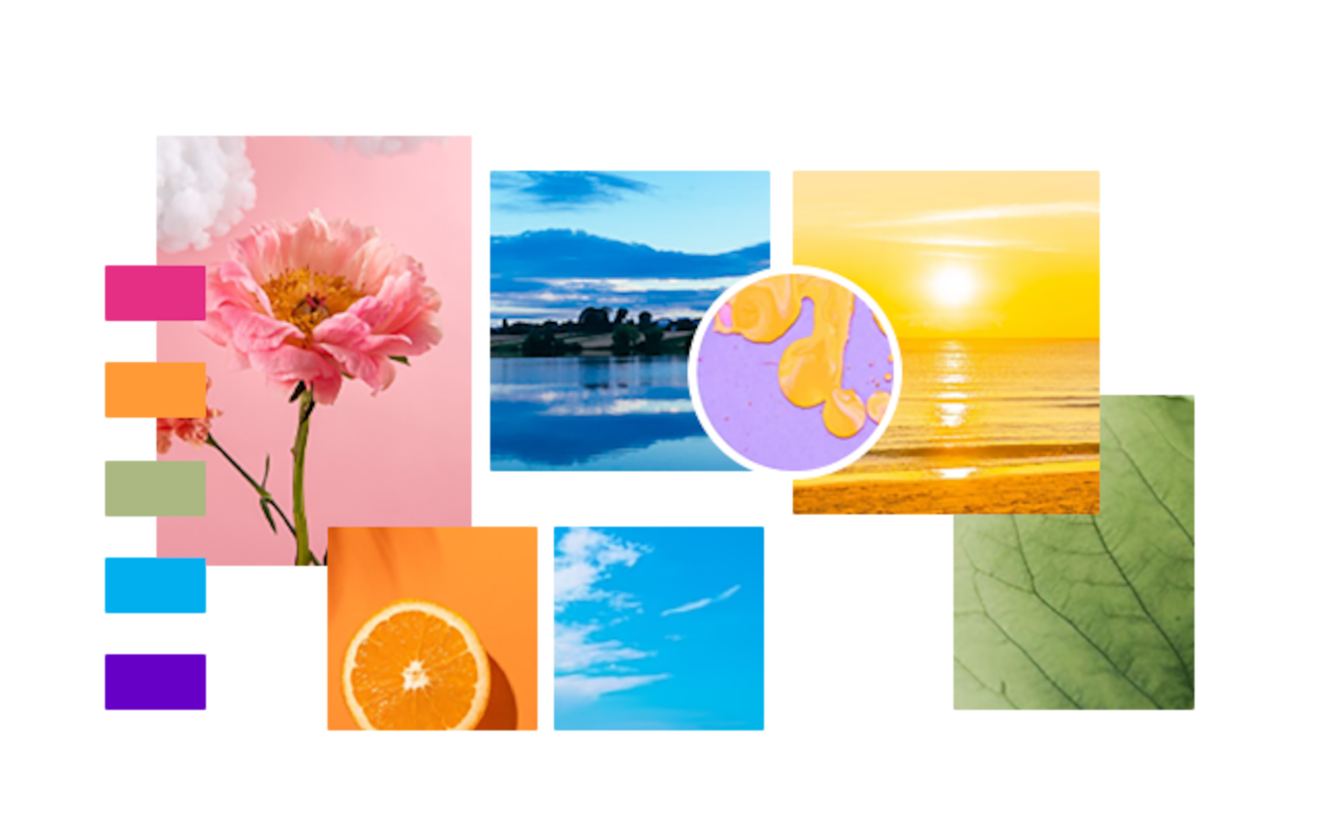 Zeelool optical eyeglasses online store11