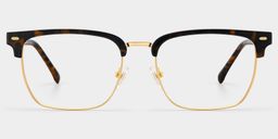 Braidsby Tortoise Browline Glasses1