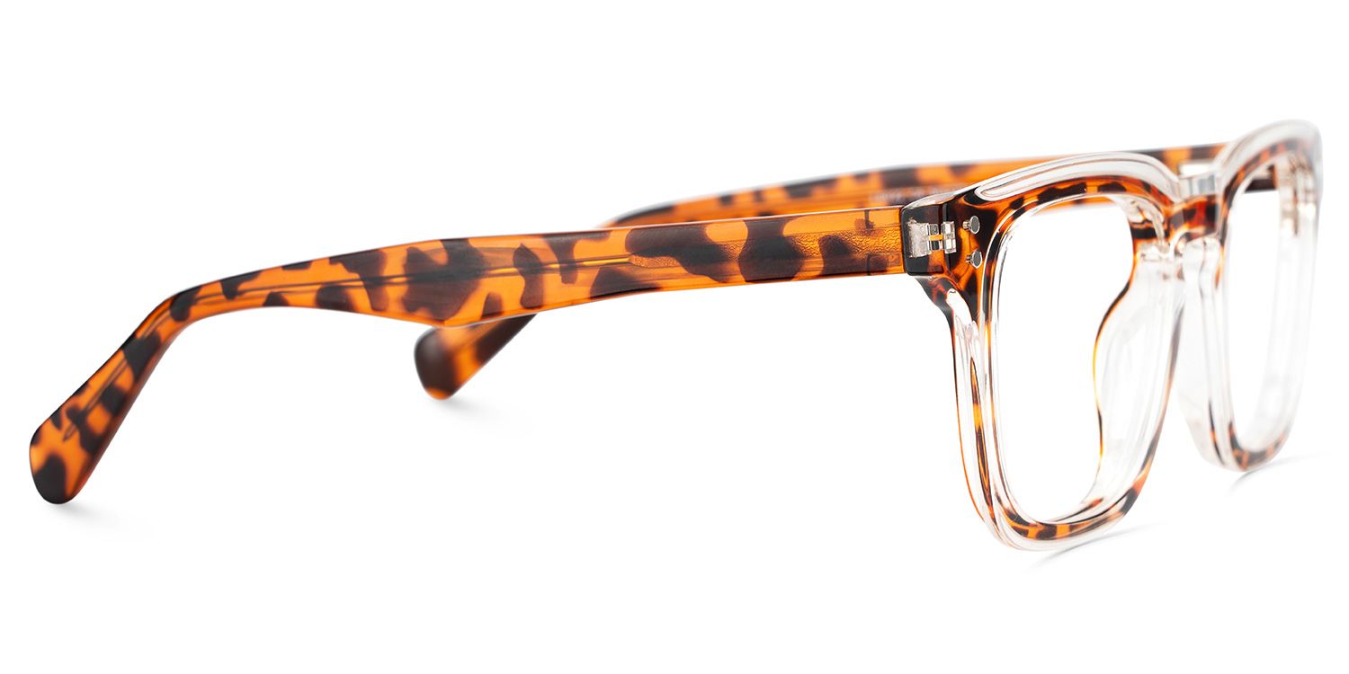Tr90 Eyeglasses Frames With Rectangle Shape and Tortoise Color4