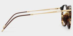 Greene Tortoise Square Glasses5