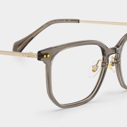 Eve Rectangle Brown Glasses5