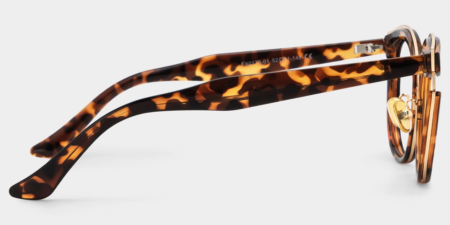 Laraine Cat Eye Tortoises Frame Glasses | ZEELOOL