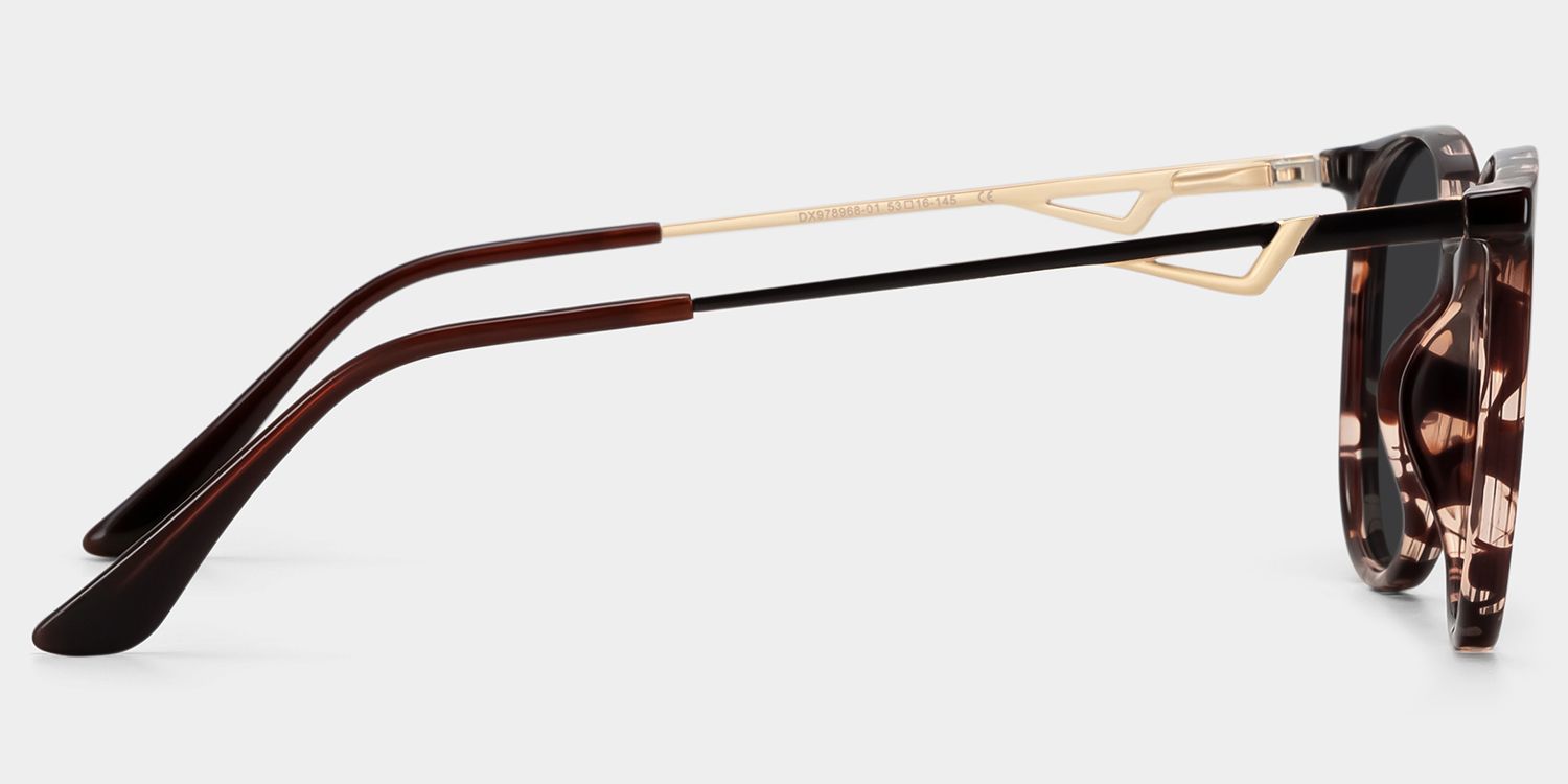Chanty Round Tortoise Prescription Sunglasses | ZEELOOL