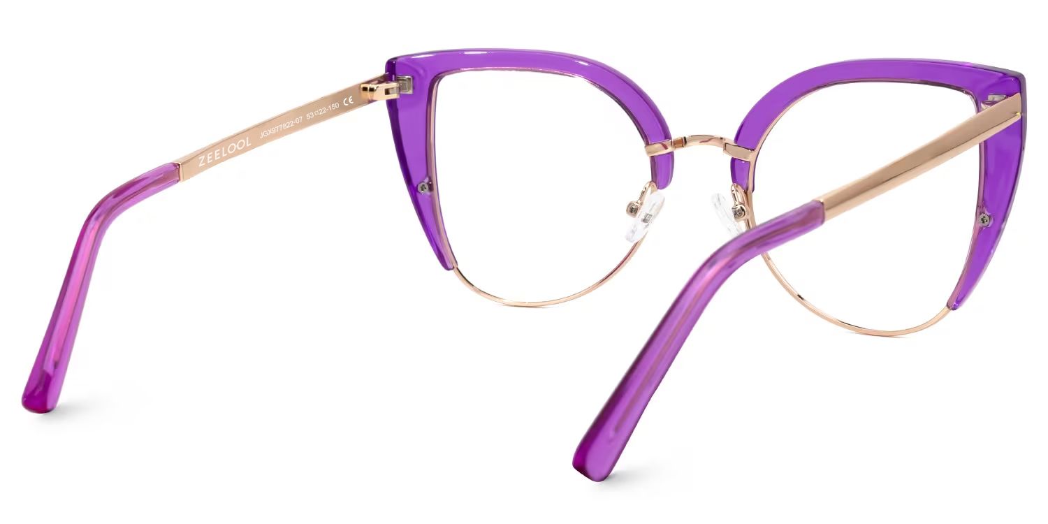 Brewer Cateye Purple Eyeglasses with Translucent Frame3