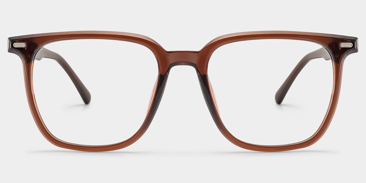 Eliza Square Dark Brown Glasses Frames for Women | ZEELOOL1