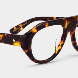 The Aviator Tortoise Aviator Glasses5