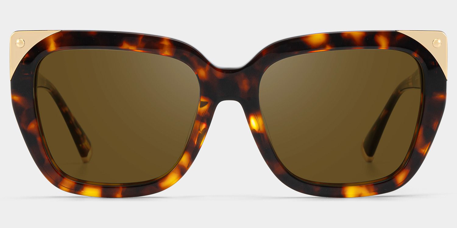 Sophia Acetate Tortoise Frame Sunglasses | ZEELOOL1