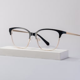 Vera Browline Black Gold Glasses0