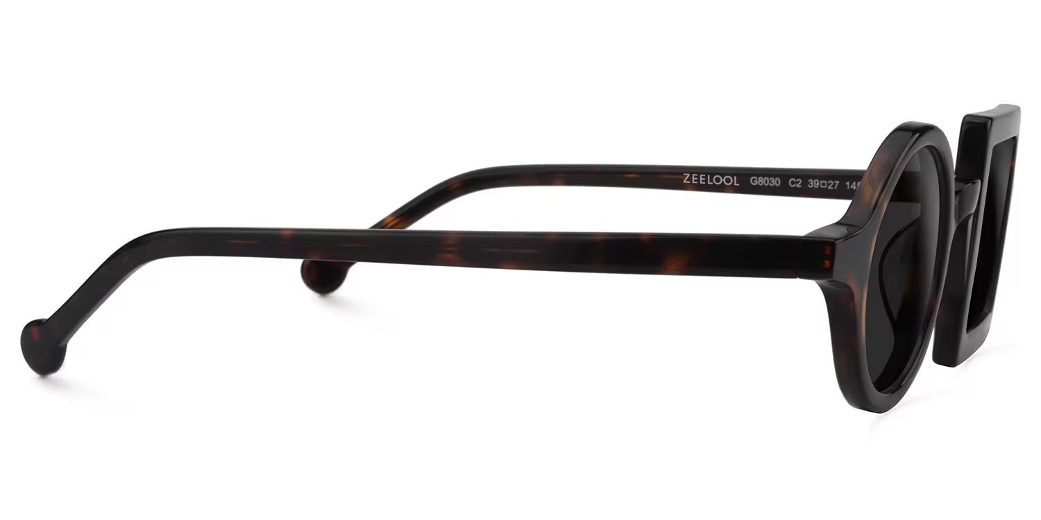 Paola Asymmetric Sunglasses with Tortoise Frames3