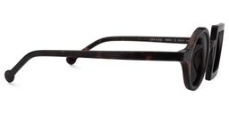 Paola Asymmetric Tortoise Sunglasses3