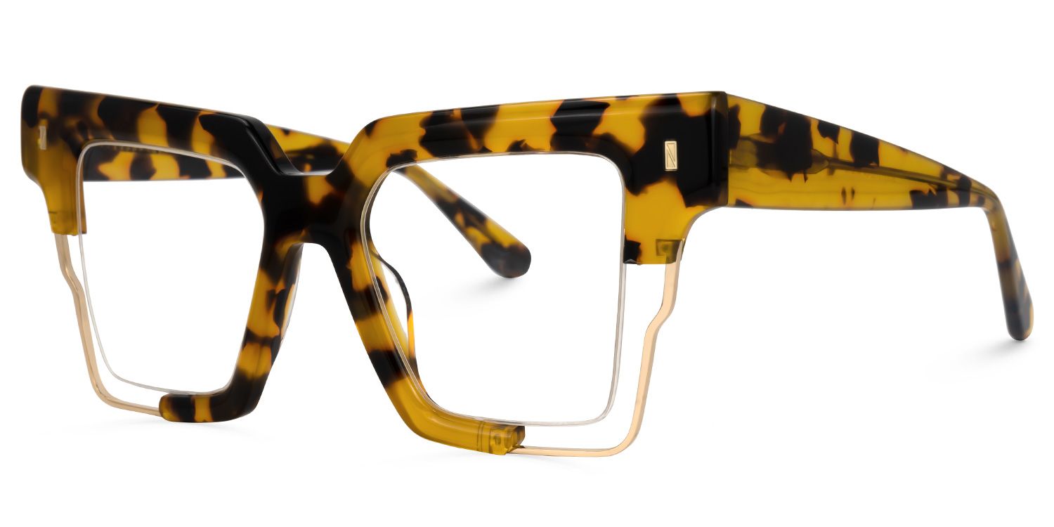 Aidza Square Tortoise Glasses