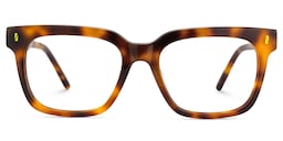 Tonita Rectangle Tortoise Glasses1