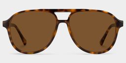 Luna Tortoise Aviator Glasses0