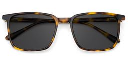 Aidan Rectangle Tortoise Glasses1
