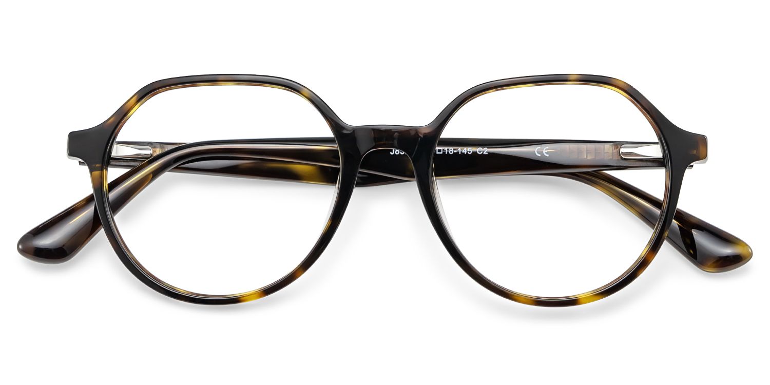 Hazel Geometric Tortoise Frame Eyeglasses for Man| ZEELOOL2
