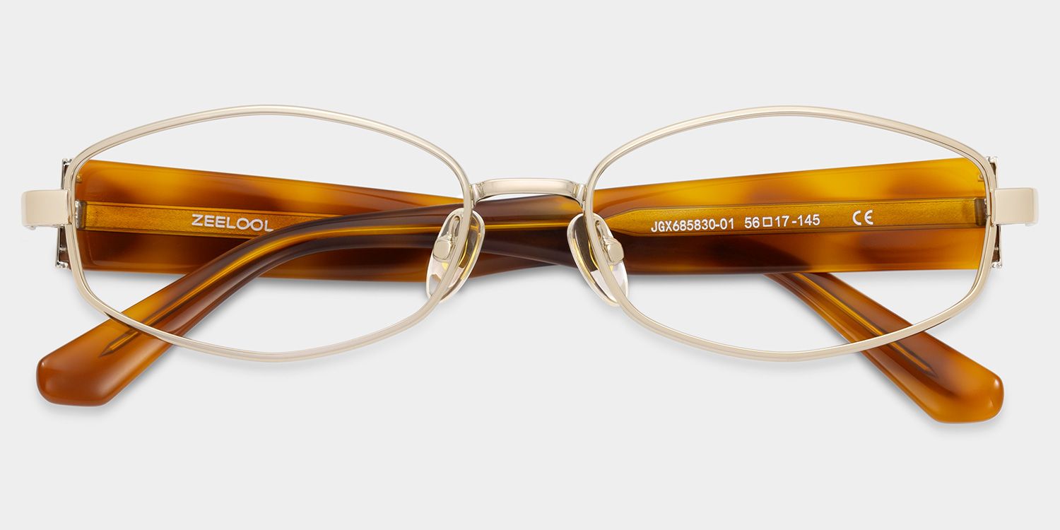 Dakota Warm Brown Tortoise Rectangle Glasses | ZEELOOL