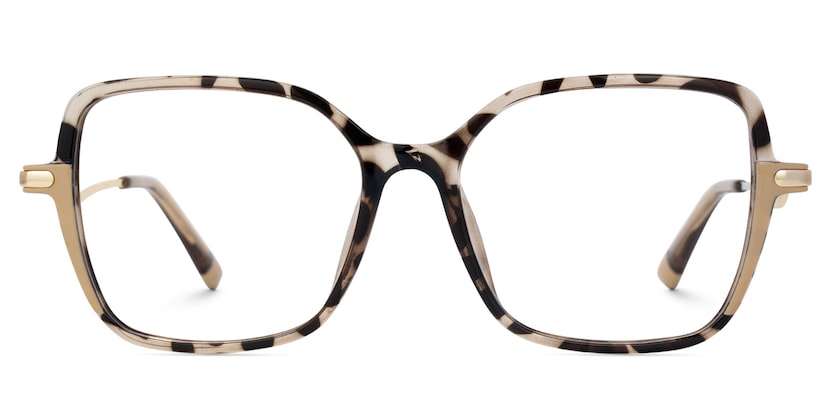 Rendon Square Tortoise Glasses