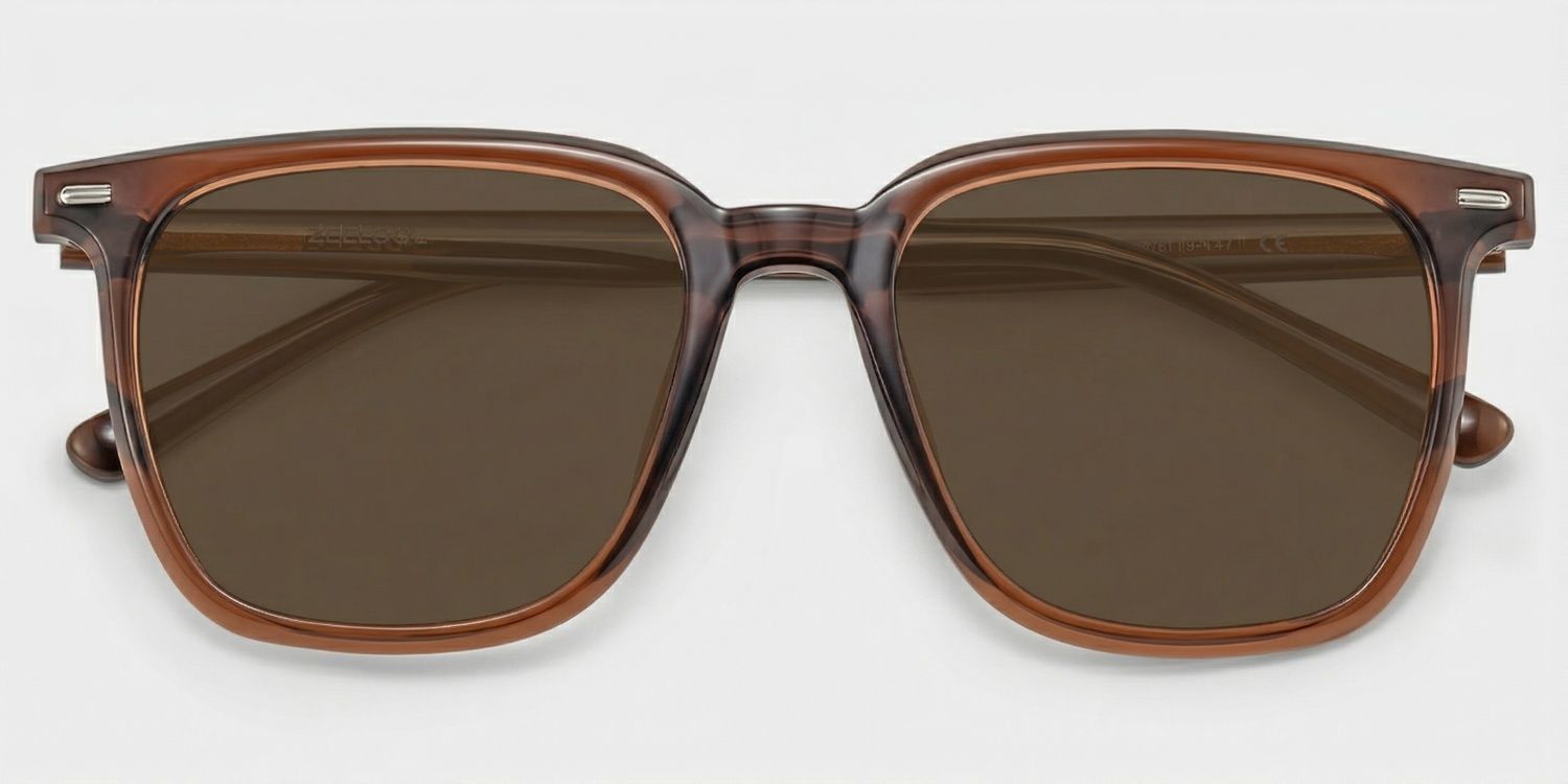 Eliza Dark Brown Glasses Frames for Women | ZEELOOL1