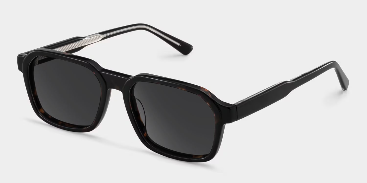 Arden Rectangle Tortoise Frame Eyeglasses for Man| ZEELOOL