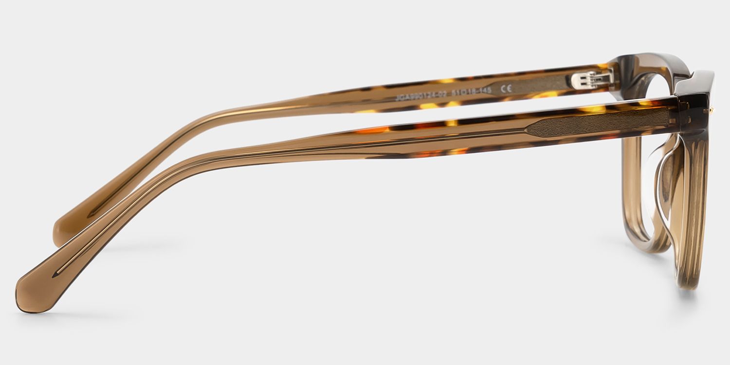 Angela Brown Rectangle Glasses | Simple Yet Luxurious5