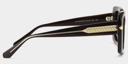 Neon Square Brown Polarized Sunglasses5