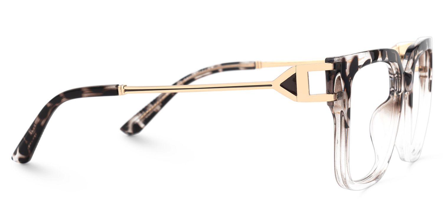 Juany Tortoise Eyeglasses with Square Shape | Zeelool Optical2