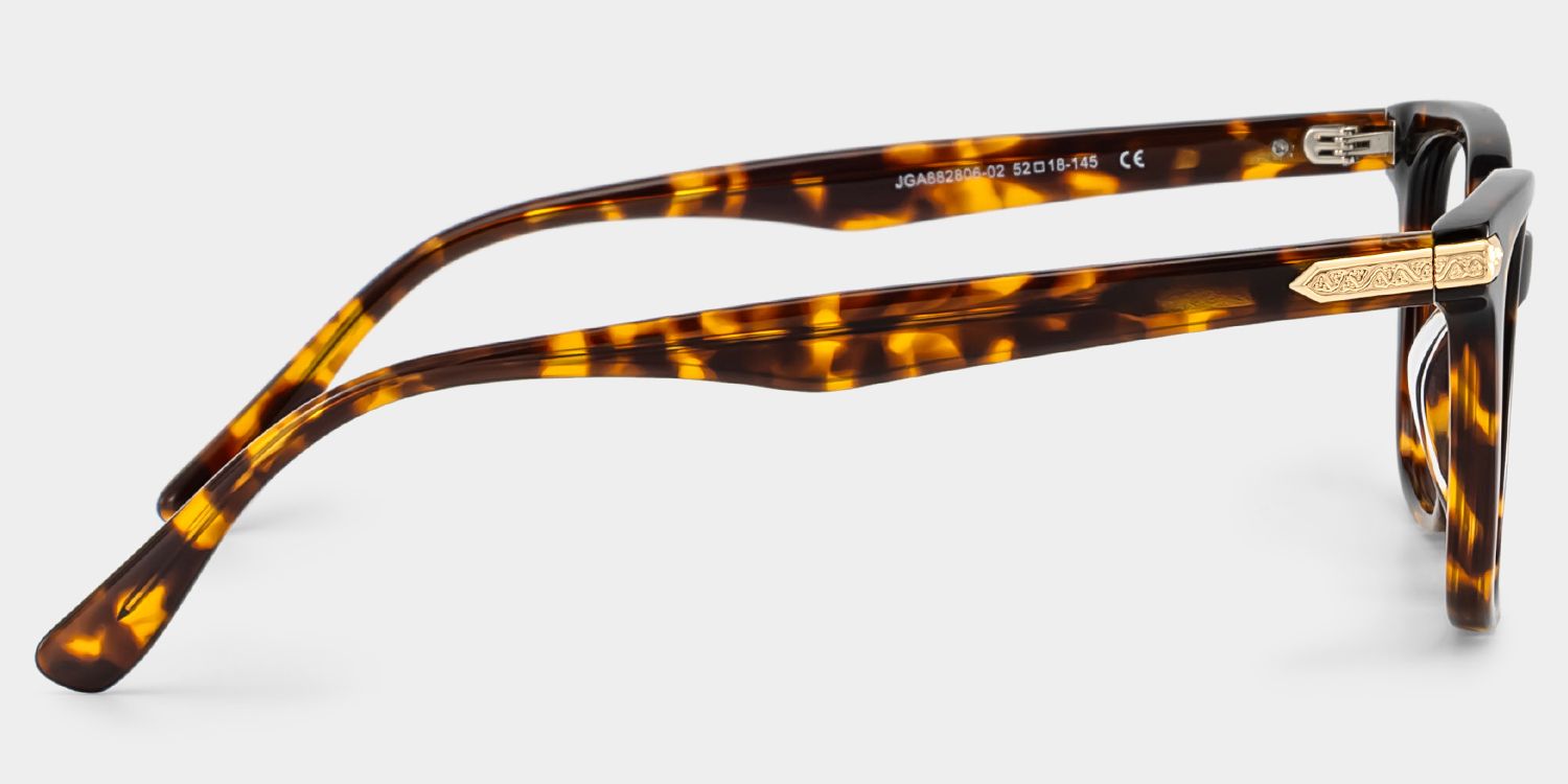 Thomas Tortoise Frame Glasses with Rectangle Frame Online | ZEELOOL
