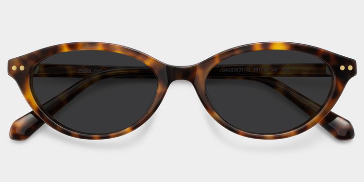 Ashby Tortoise Oval Glasses