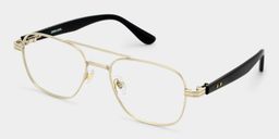 Anderson Aviator Gold Glasses3