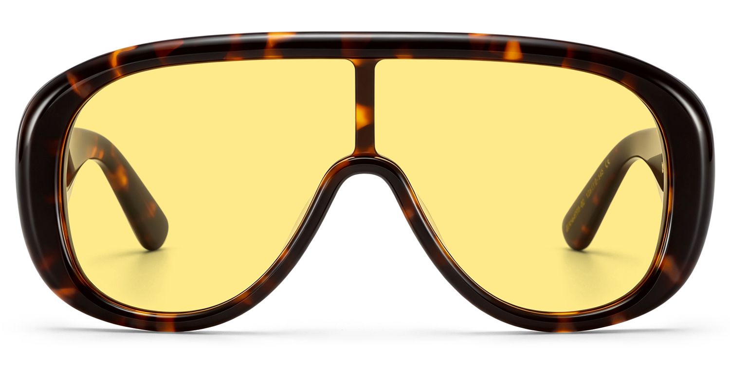 ZEELOOL x Aimee Song The Shield Tortoise Sunglasses