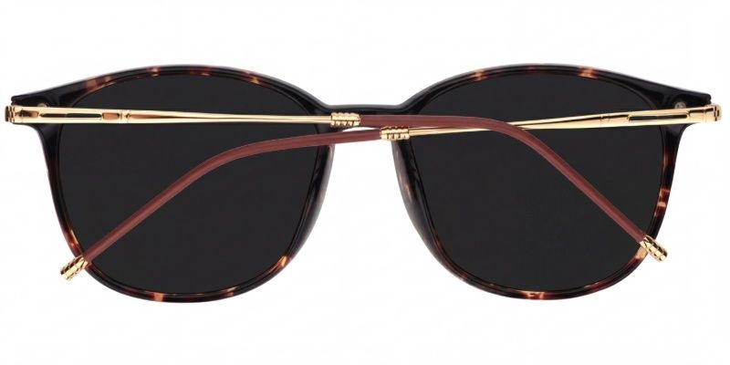 Greene Square Tortoise Frame Glasses | Zeelool Optical4