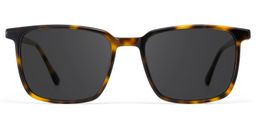 Aidan Rectangle Tortoise Glasses0