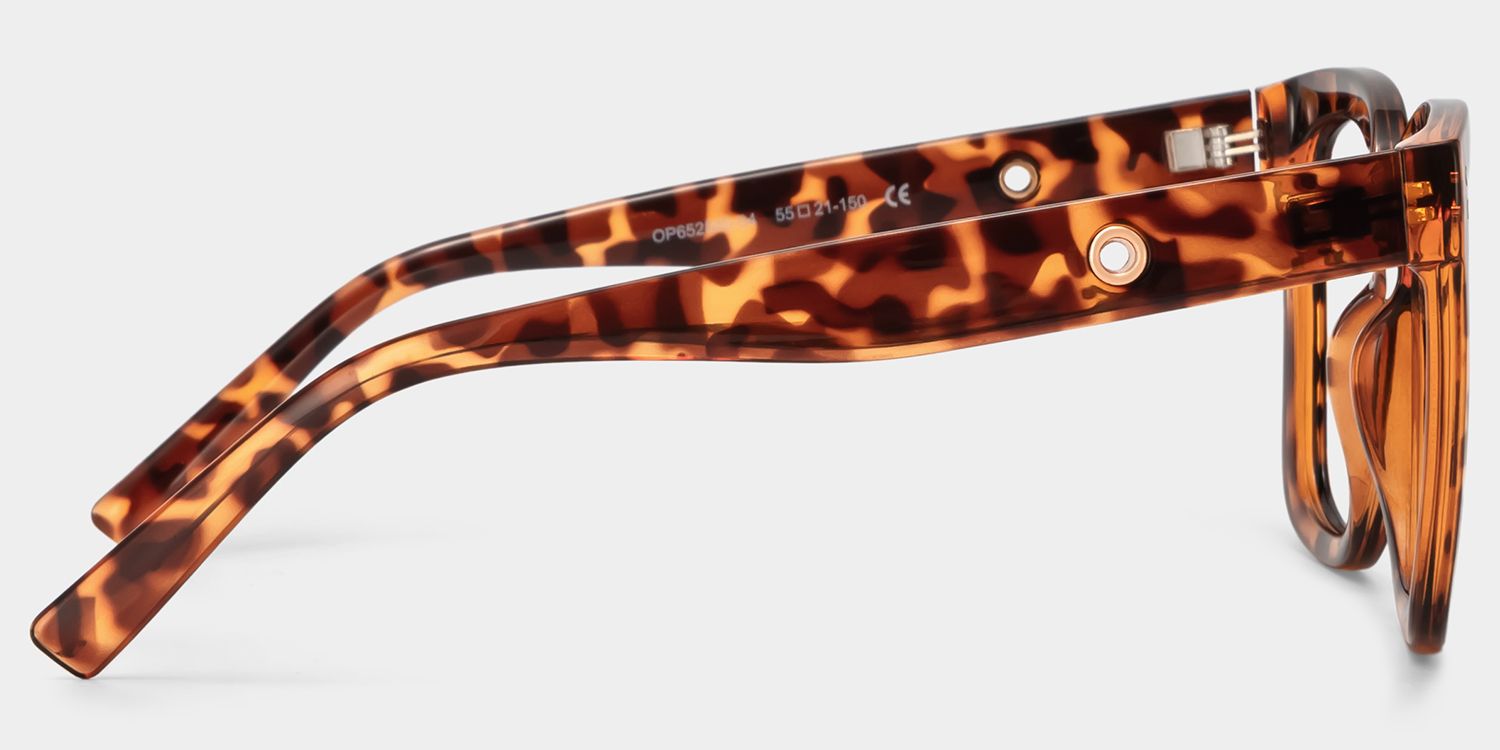 Ebony Tortoise Eyeglasses and Square Glasses Frames | ZEELOOL3