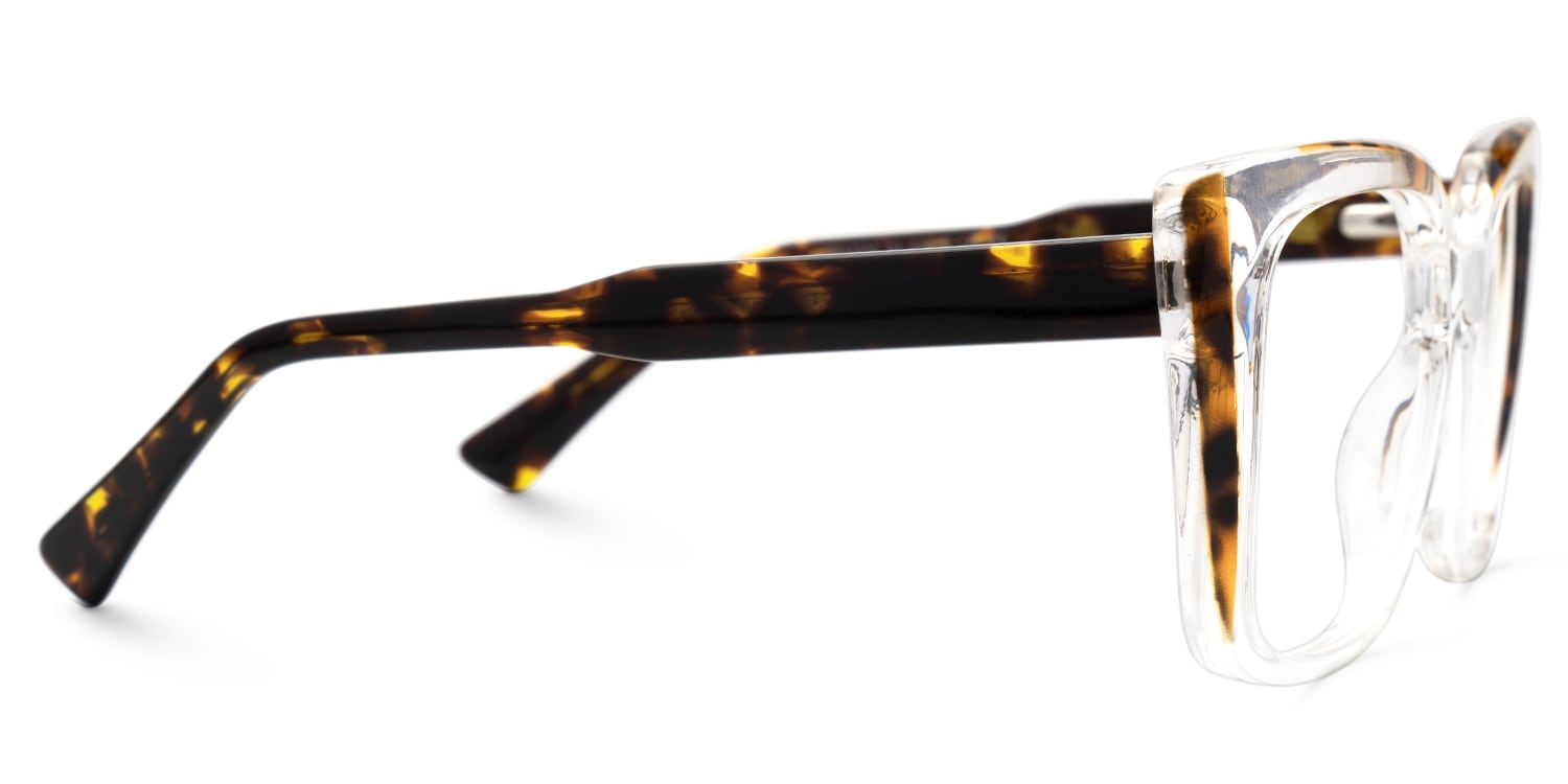 Valdez Crystal Eyeglasses with Square Design2