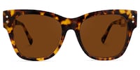 Britton Square Tortoise Sunglasses0