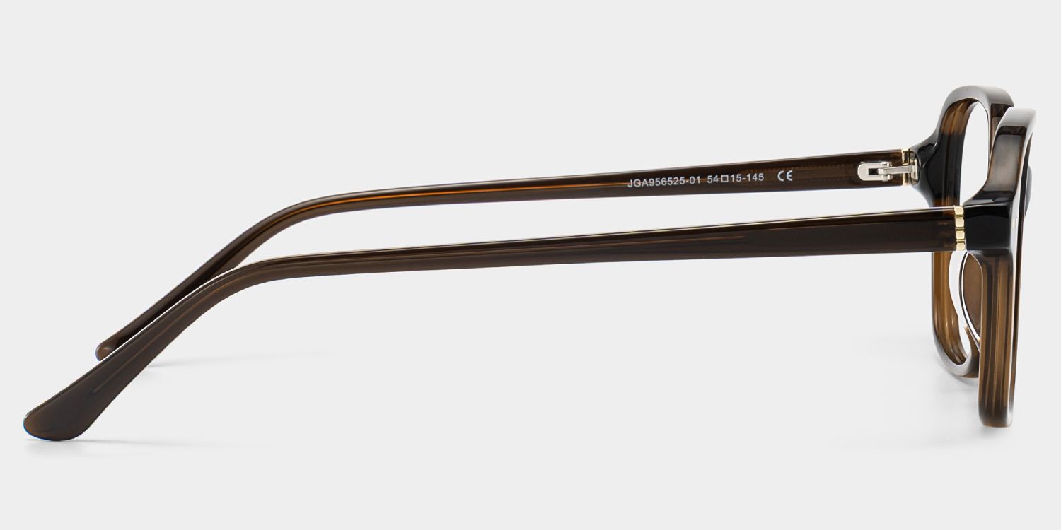 Clementine Chocolate Brown Square Glasses | ZEELOOL