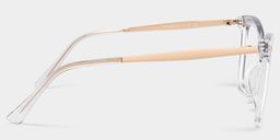 Isaebella Butterfly Clear Glasses4