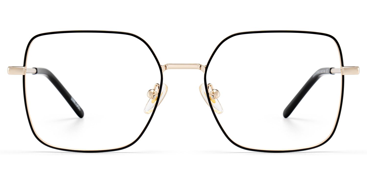 Abigail Tortoise Shell Glasses with Gold Arms for Women in Daily