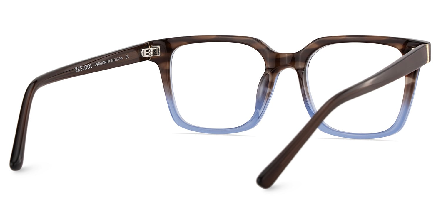 Pagel Brown Gradient Blue Thin Frame Eyeglasses | Zeelool5