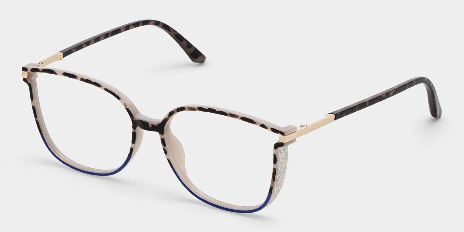 Rodz Tortoise-Blue Eyeglasses with Designer Frame