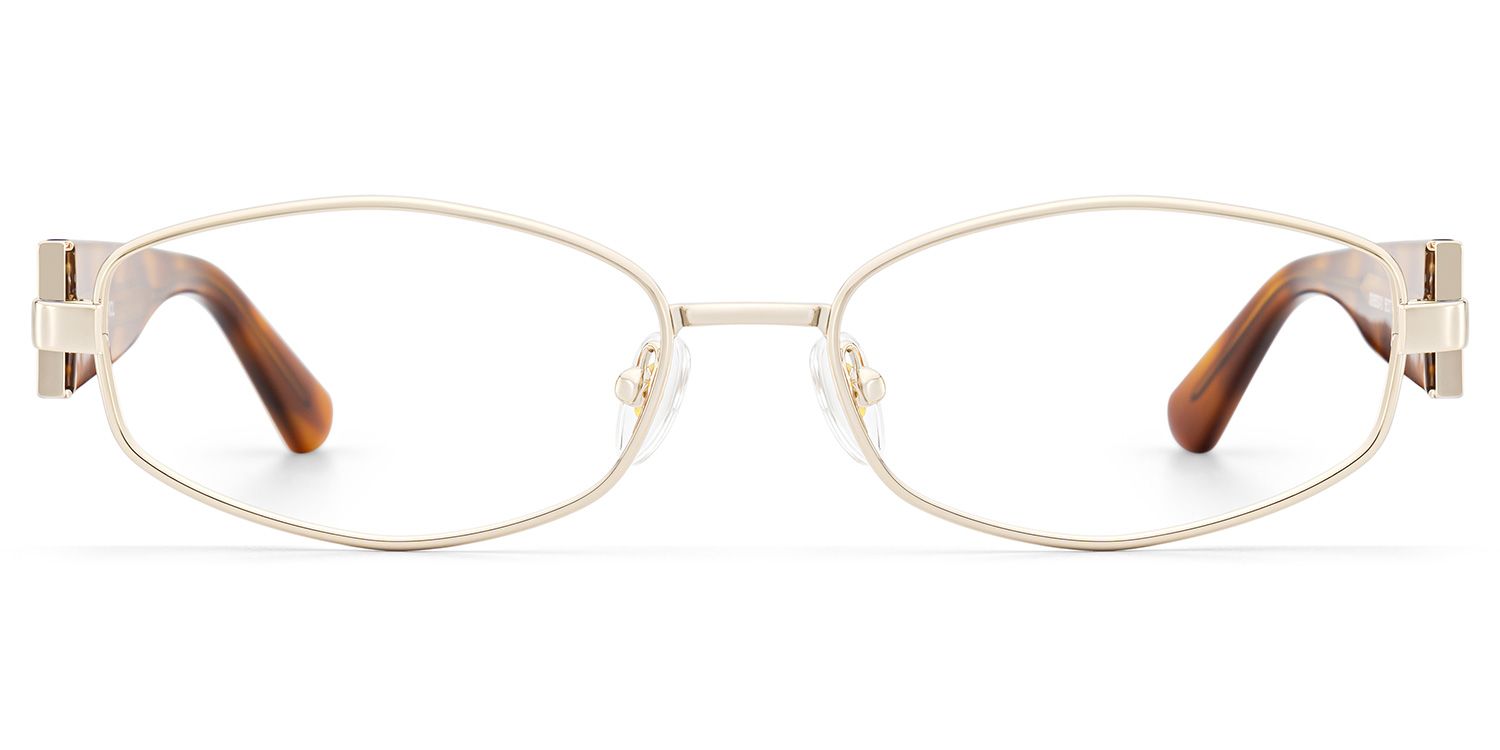 Dakota Warm Brown Tortoise Rectangle Glasses | ZEELOOL