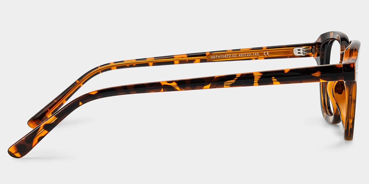 Amber Tortoise Frame Glasses with Square Frame Online | ZEELOOL4