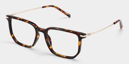 Michelle Tortoise Rectangle Glasses3