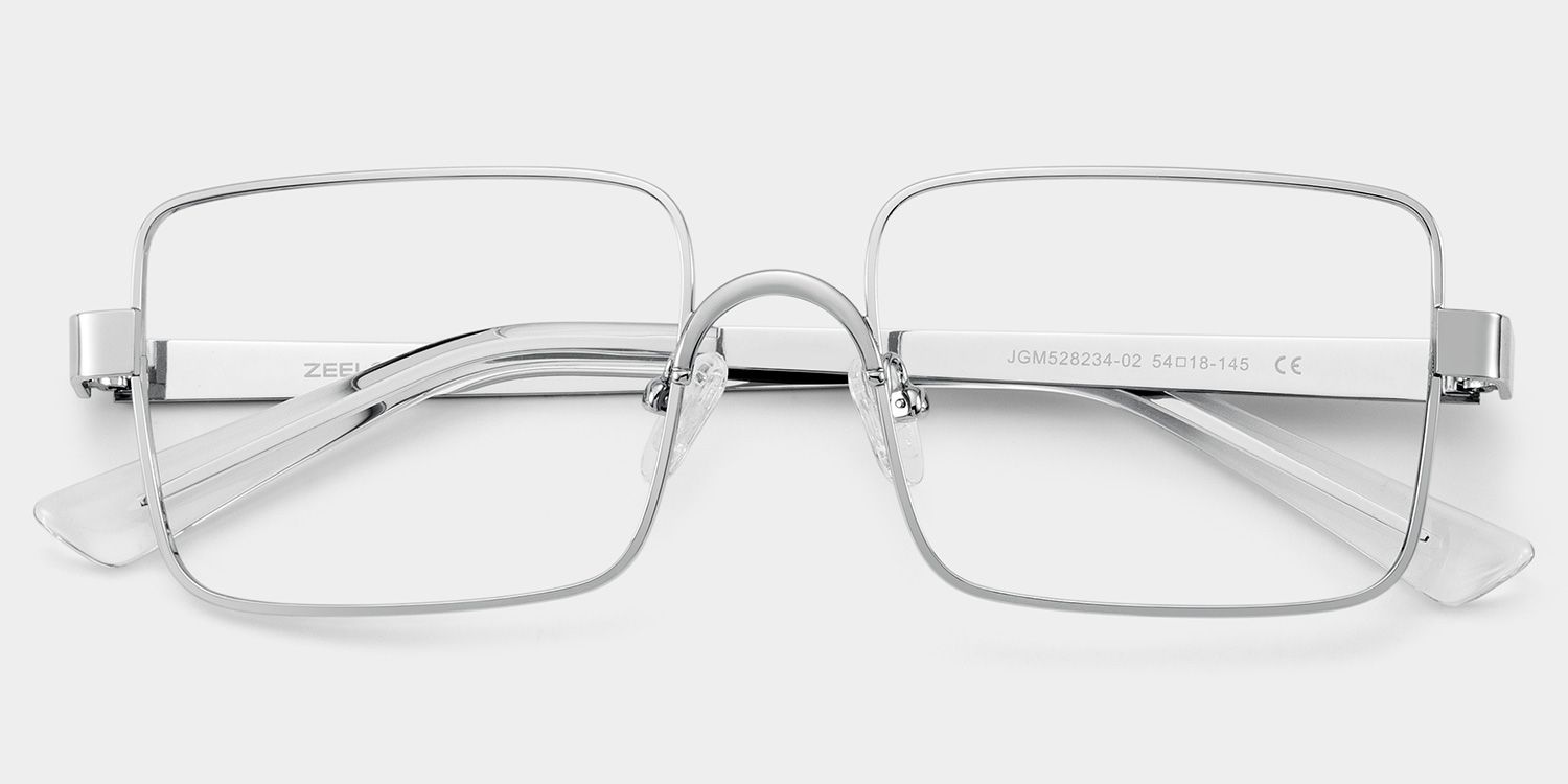Gavin Eyeglasses in Rectangle Silver Frame | ZEELOOL3