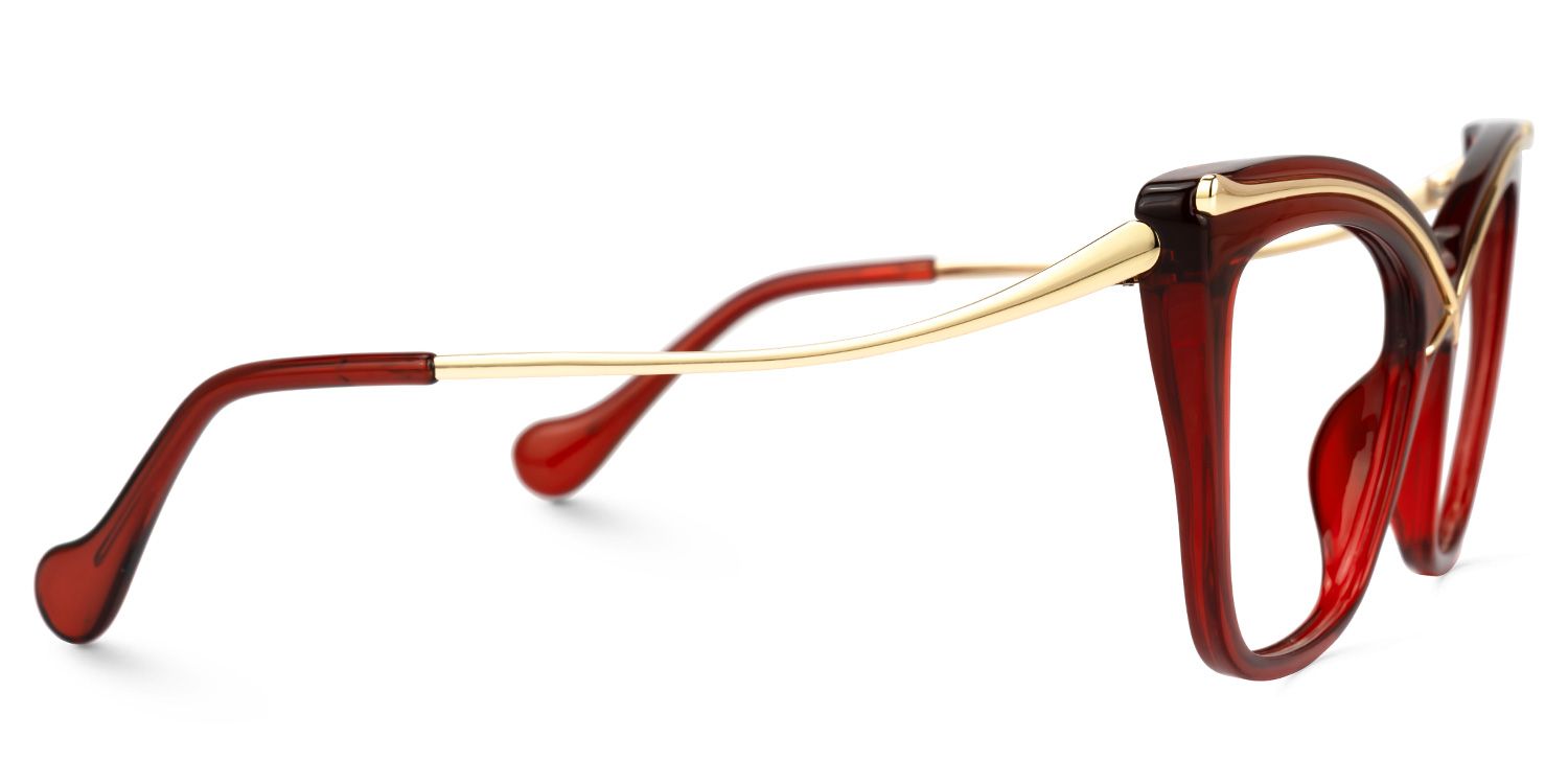 Winston Cat-eye Red Eyeglasses and Wide Frame Glasses2