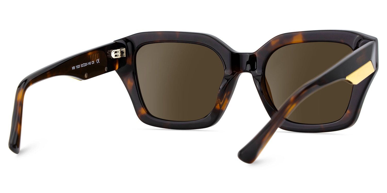 Rhea Square Tortoise Polarized Sunglasses4