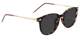 Greene Square Glasses3