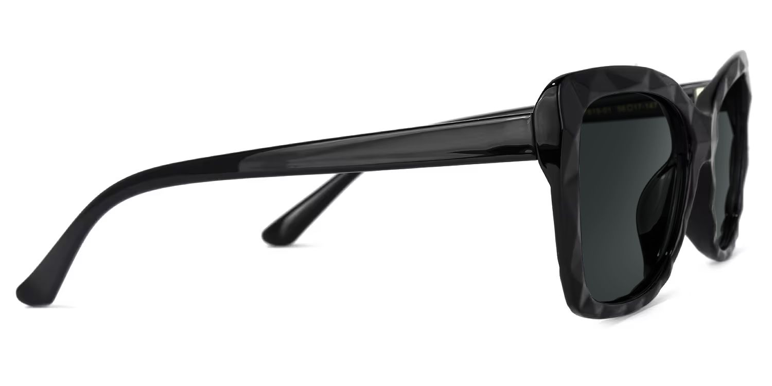 Wendell Cateye Black Sunglasses | Zeelool Glasses2